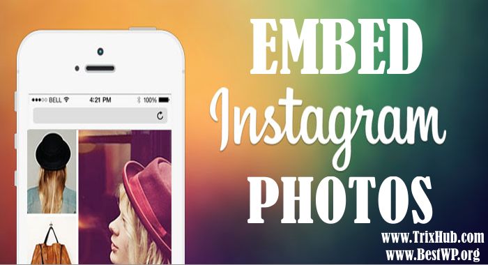 embed instagram photos